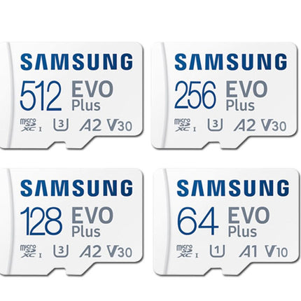 Samsung Micro SD card, Samsung evo