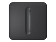 Gris graphite