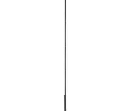 AlarmsysteemExpert.nl 6-meter Camera Mast, Anthracite Gray, Galvanized Steel, Lightning Rod