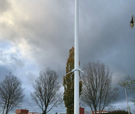 AlarmsysteemExpert.nl Cameramast verplaatsbaar aluminium 4 meter Ø 90mm met tegelframe