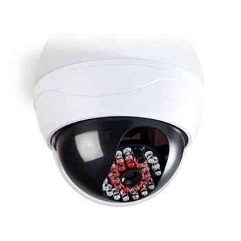 Nedis Nedis Dummy Sicherheitskamera Dome IP44 Weiß