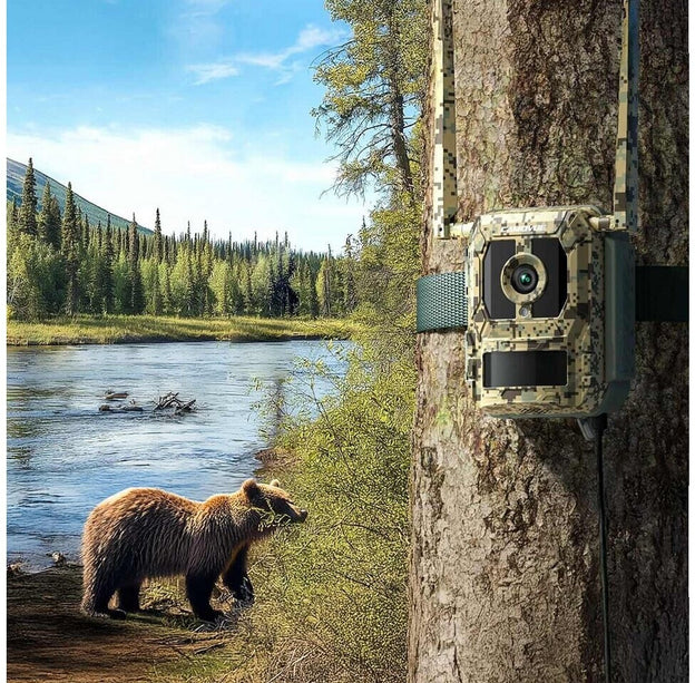 Reolink Reolink S130-C, Wildlife 8MP 4K camera with Live view and Starlight