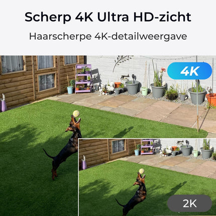 Reolink Reolink Trackmix-WiFi, 4K Dual-Lens, PTZ-Kamera mit Bewegungsverfolgung