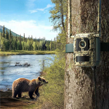 Reolink S130-C, Wildlife 8MP 4K camera met Live view en Starlight