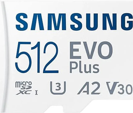 Carte Micro SD Samsung, Samsung evo